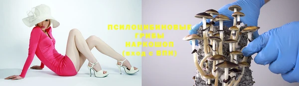 прущие крисы Балахна