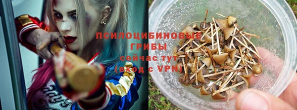 прущие крисы Балахна